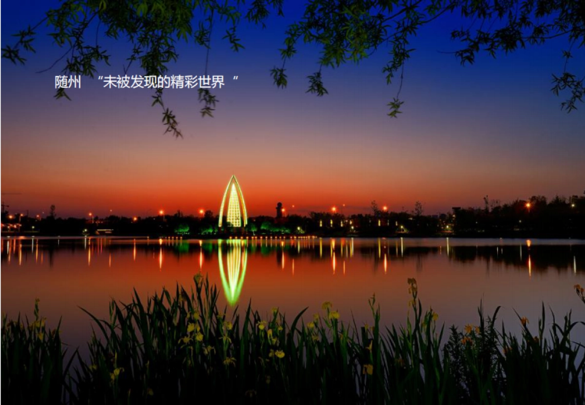 深圳第一生产力-随州恒大名都推广方案_第3页