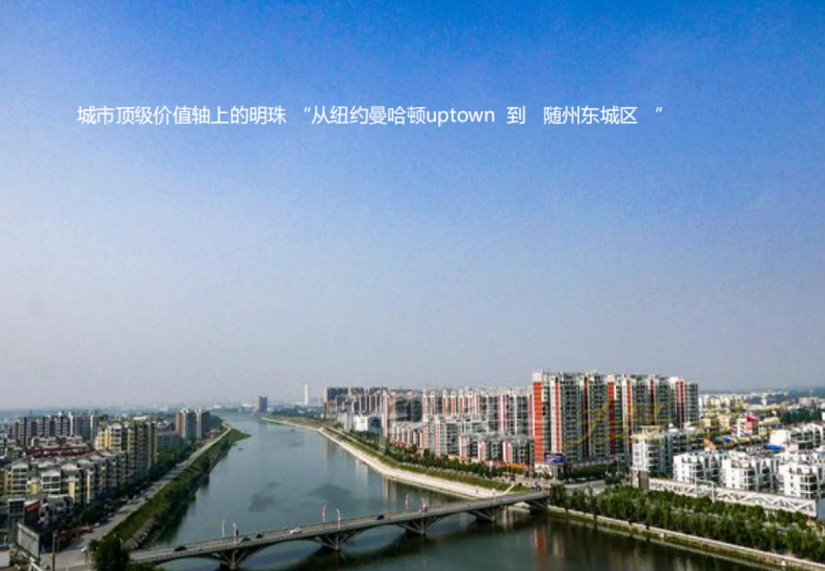 深圳第一生产力-随州恒大名都推广方案_第4页