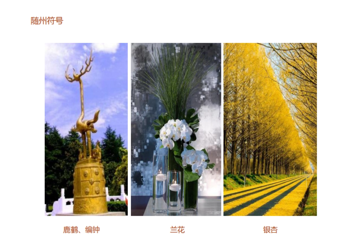 深圳第一生产力-随州恒大名都推广方案_第9页