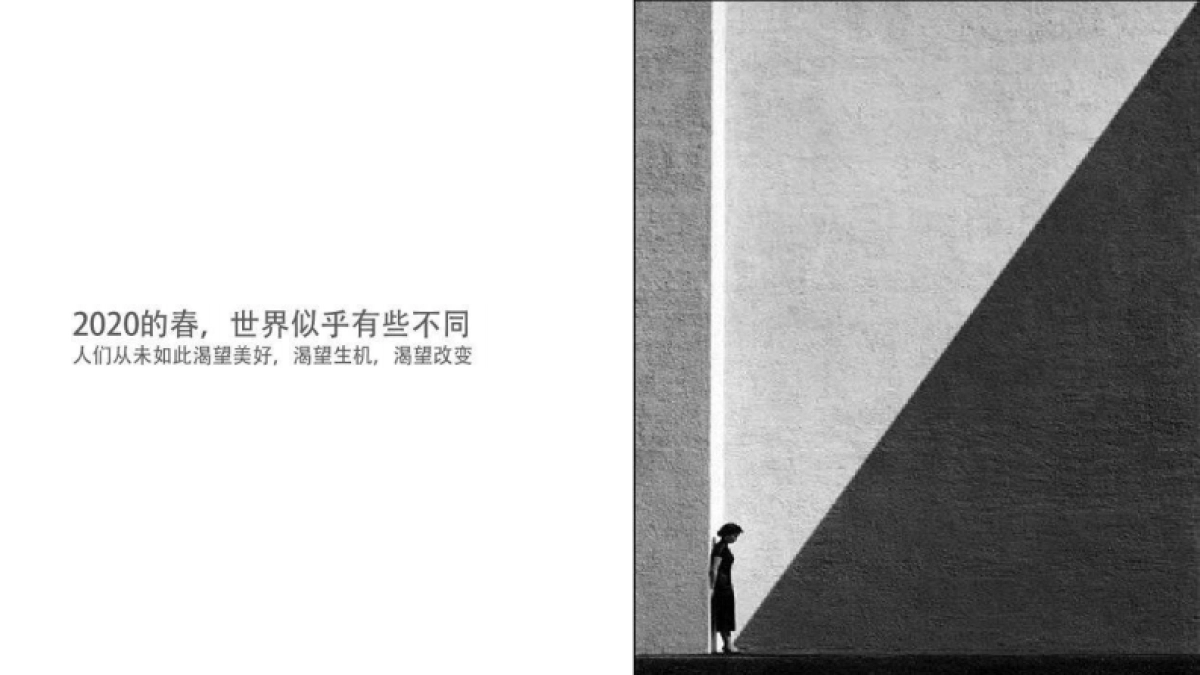 深圳某一线-佛山佳兆业悦峰2020年度推广案 _第2页