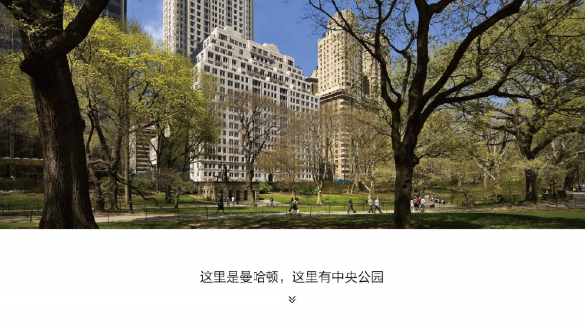 天橙中国-广州越秀天珹推广策略方案._第8页