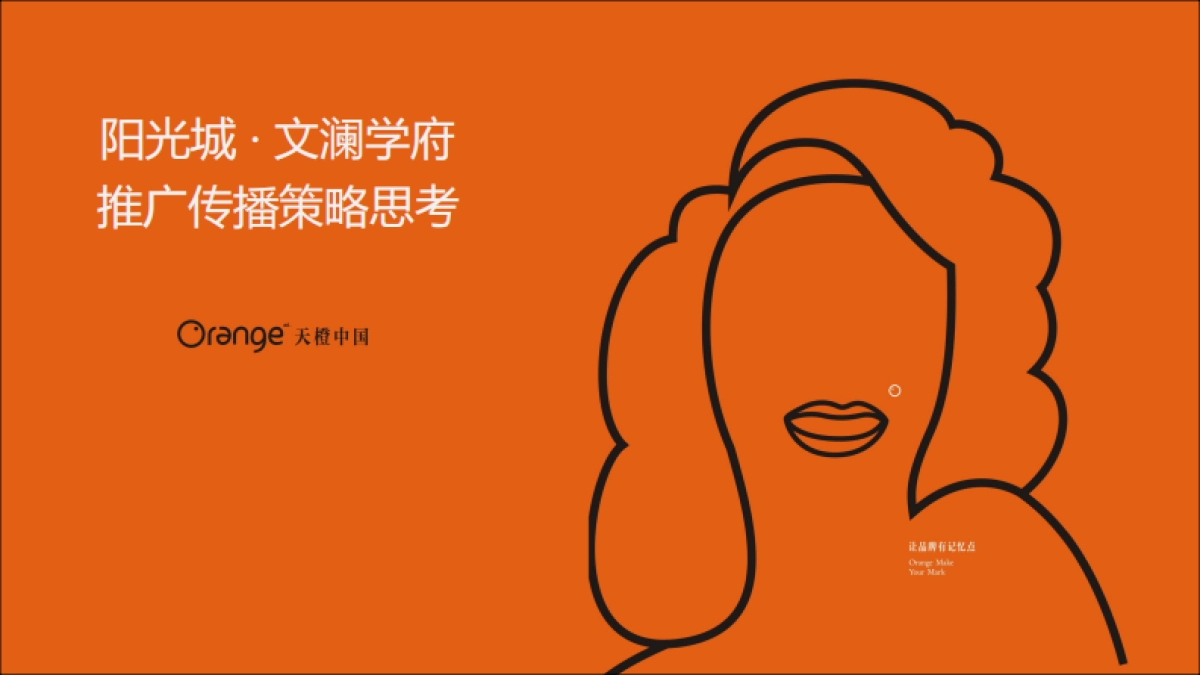 天橙中国-阳光城广东地王文澜学府传播推广案_第1页