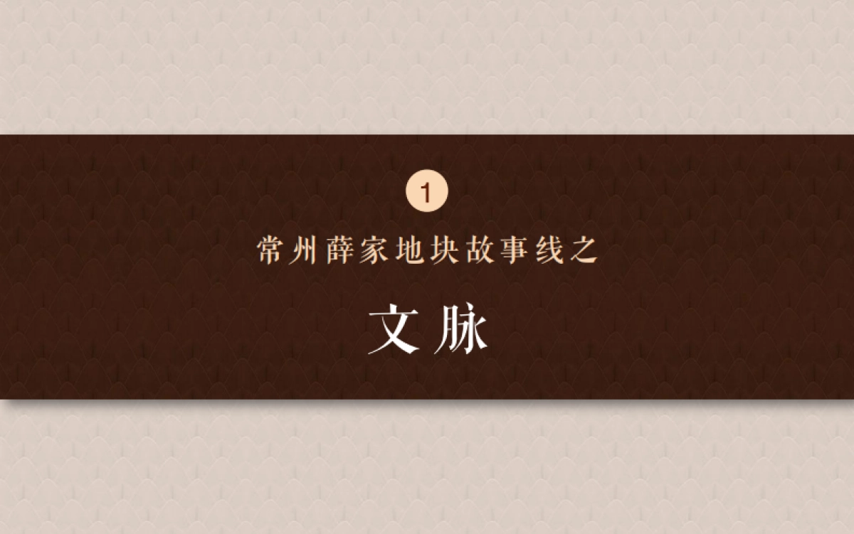 万科翰林甲弟故事线及年第一季度推广_第6页