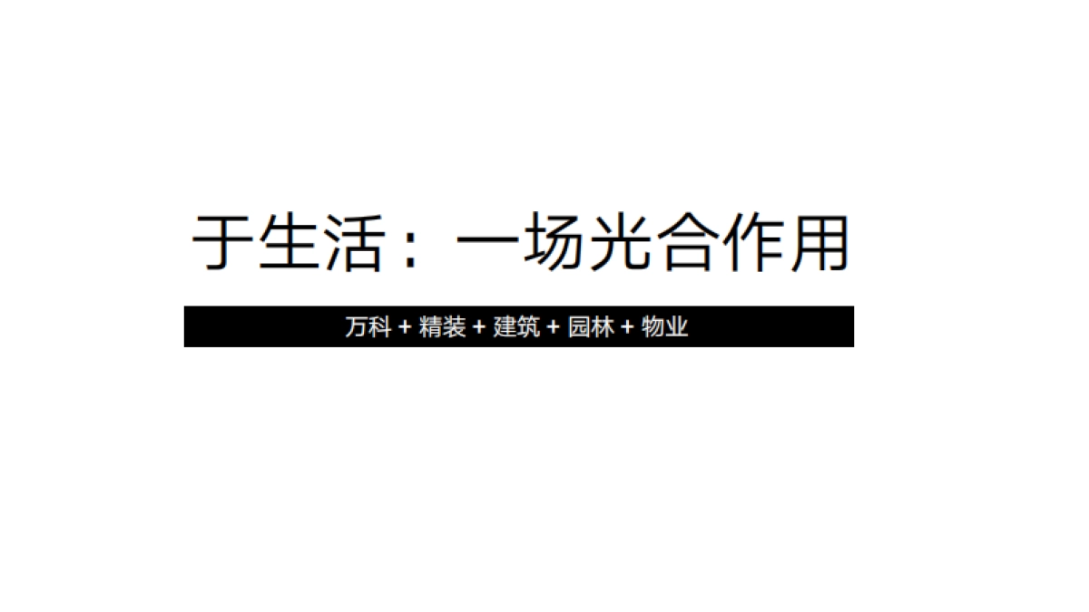 万科罗村项目推广策略_第9页