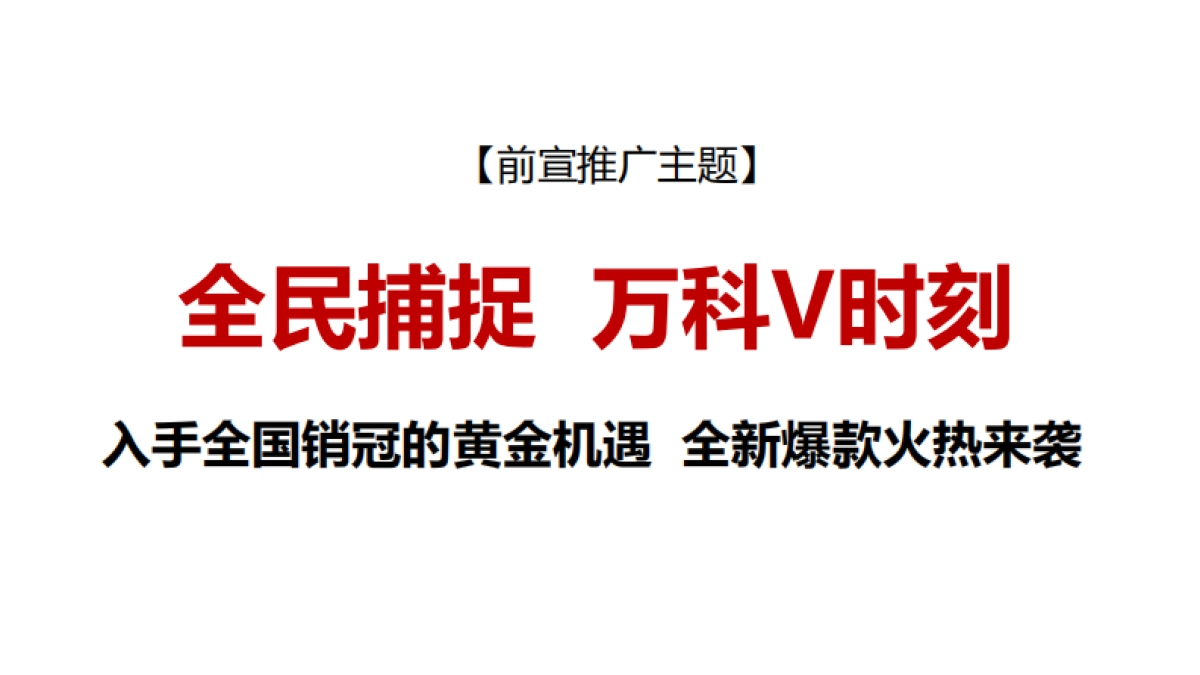 万科星城1194公寓推广铺排_第6页