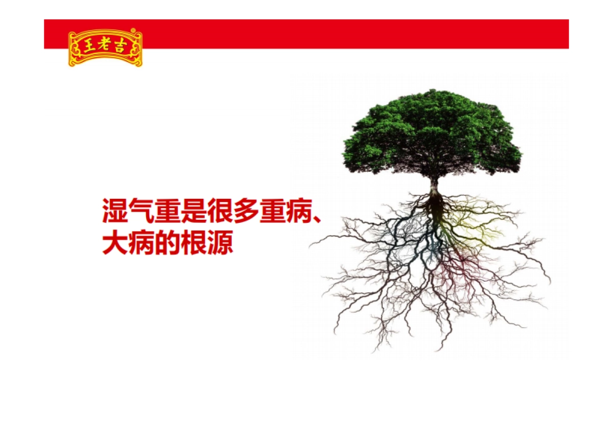 王老吉越热越爱项目推广方案_第7页