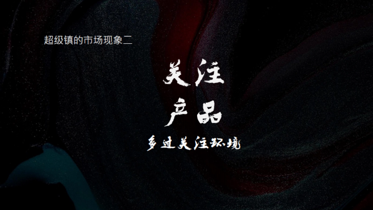 吴樾东方项目推广策略提报_第5页