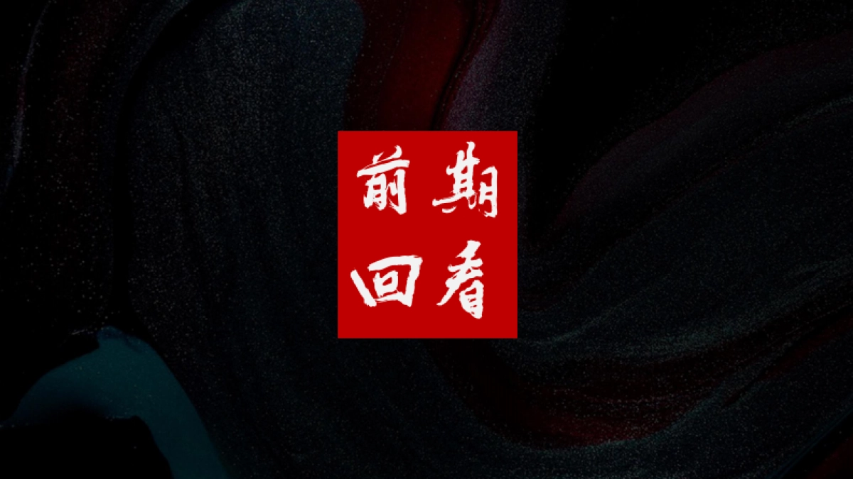 吴樾东方项目推广策略提报_第9页