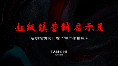 吴樾东方项目推广策略提报