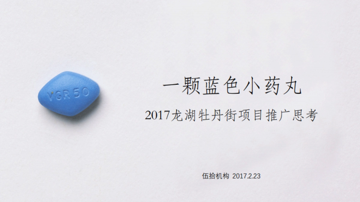 伍拾机构-成都龙湖花木深推广方案_第1页