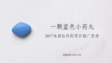 伍拾机构-成都龙湖花木深推广方案