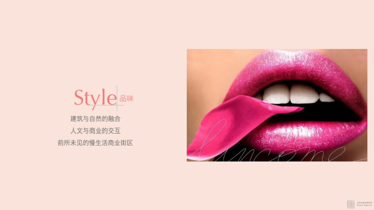 武汉ICC太和里推广演绎方案_第8页