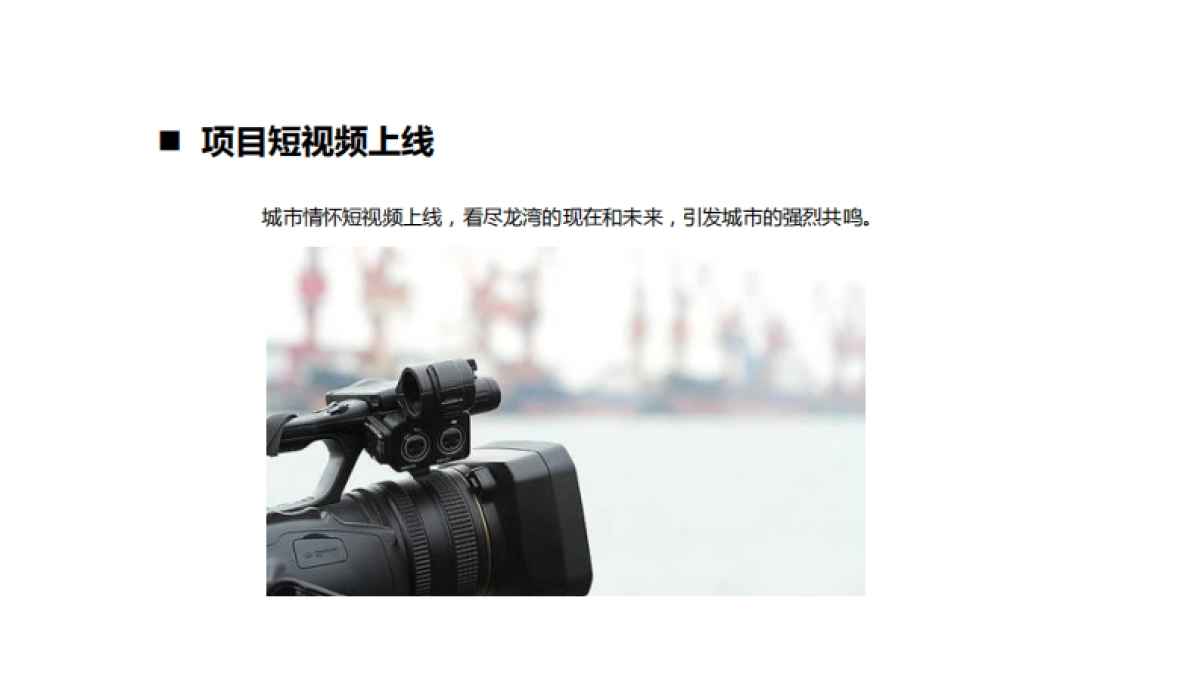 悦珑府4月推广方案_第8页