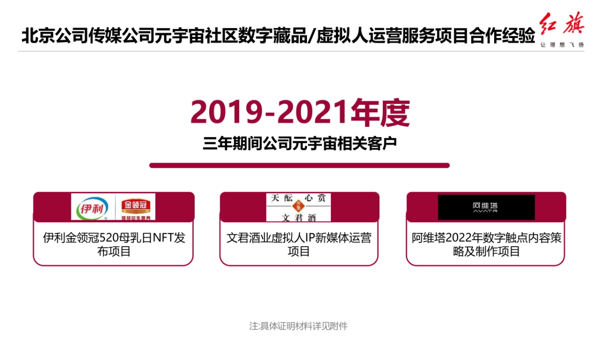 2023年红旗元宇宙推广及运营项目方案_第10页