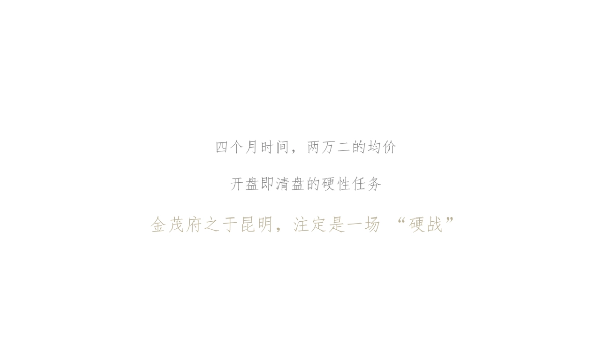 昆明金茂府全年推广策略案_第3页