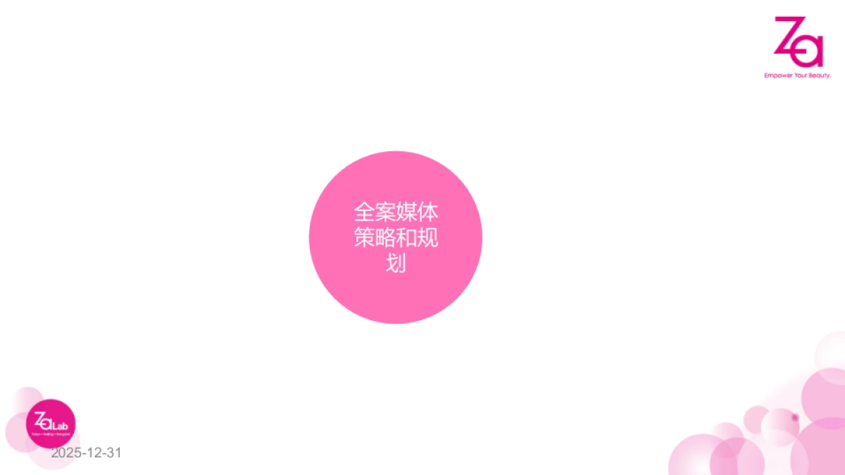 Za  5月推广方案_第3页