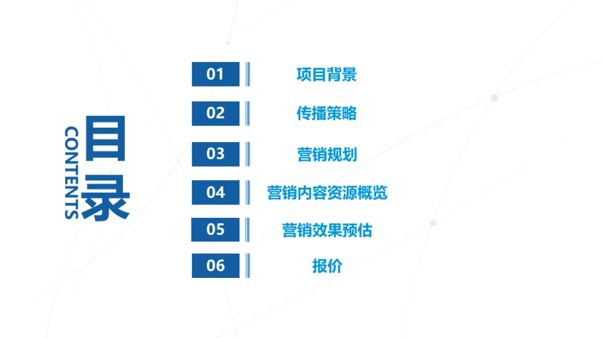 丹姿新品黑面膜营销推广方案_第2页