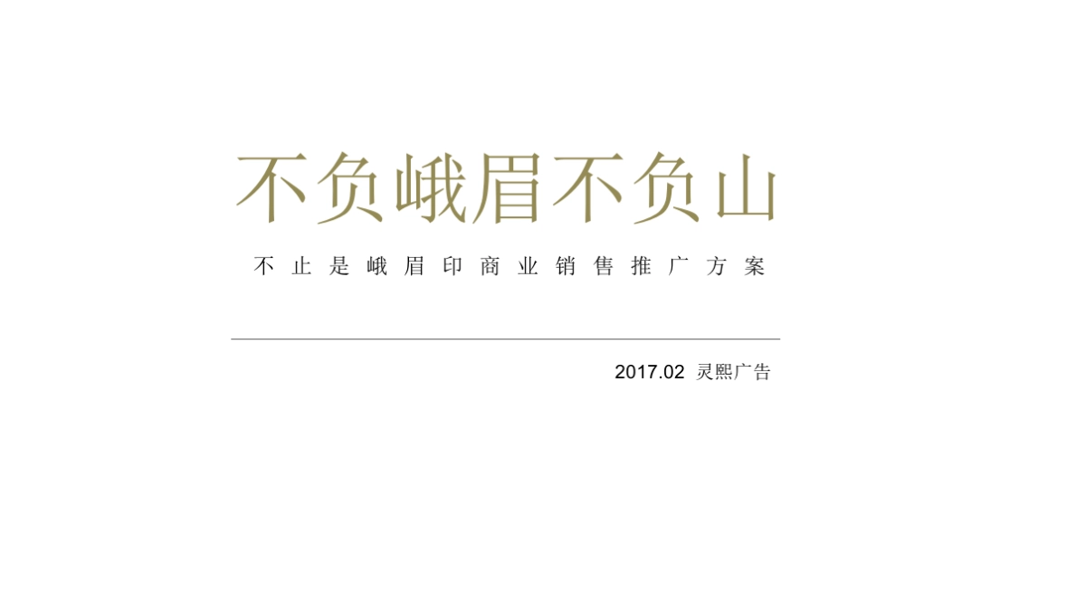 峨眉山国际旅游度假区【峨眉印】推广案 _第2页