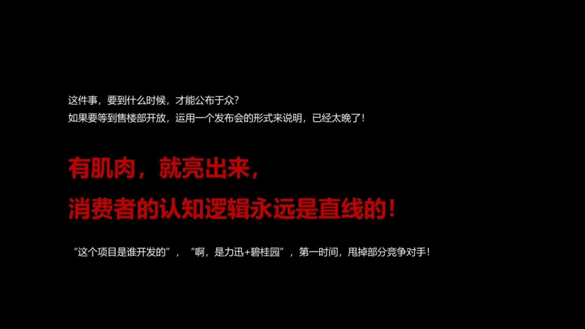 广州A金燕达观-广州天河力迅碧桂园·WE城推广策略策划案_第10页