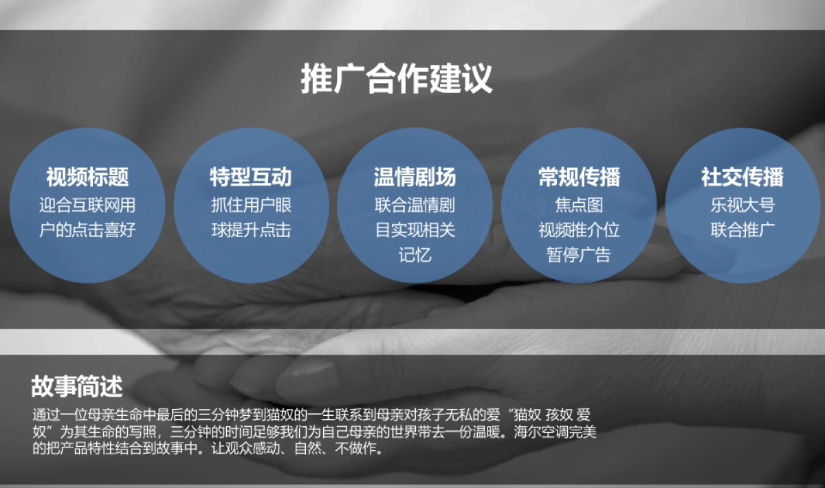 海尔空调微电影《猫奴》推广方案_第3页