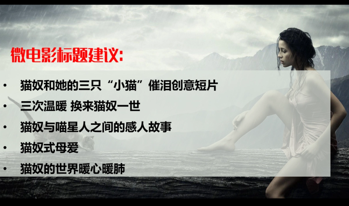 海尔空调微电影《猫奴》推广方案_第5页