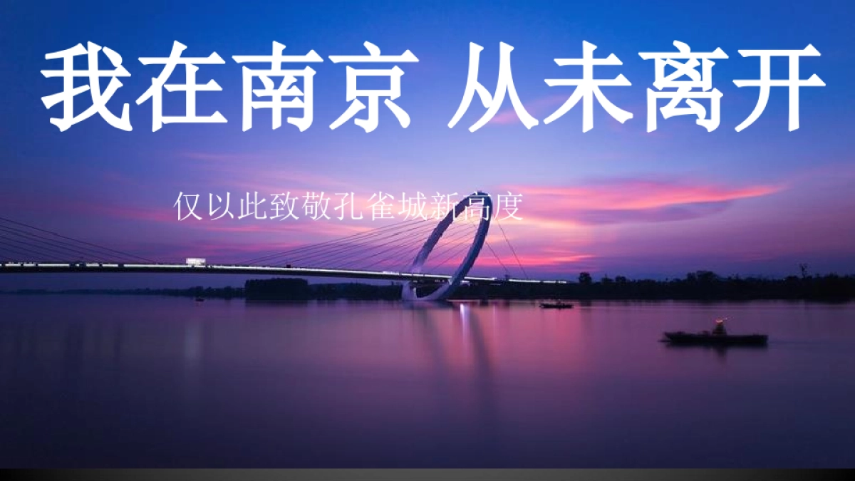 黑弧数码(广州)-南京新江北孔雀城年度推广方案_第3页