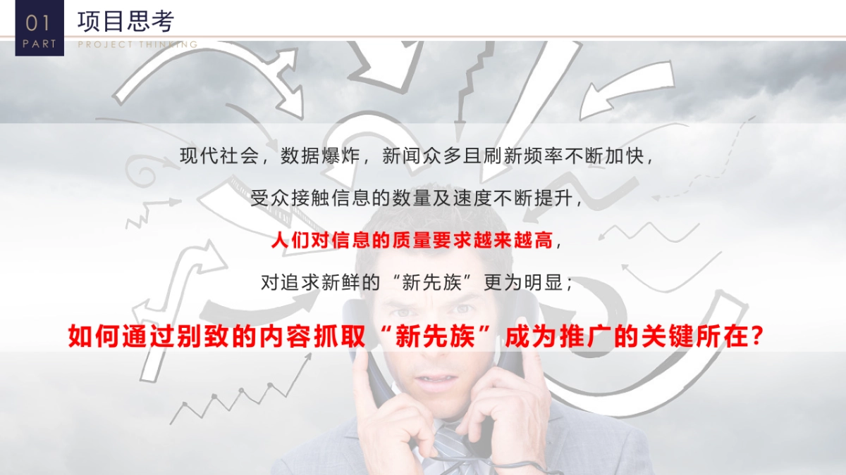 重庆银行智能客服推广项目_第5页