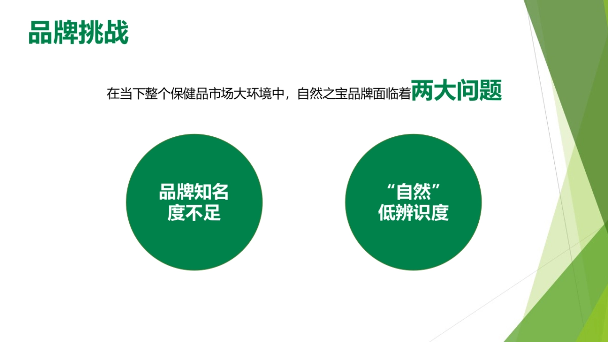 自然之宝（保健品）线上推广方案_第10页