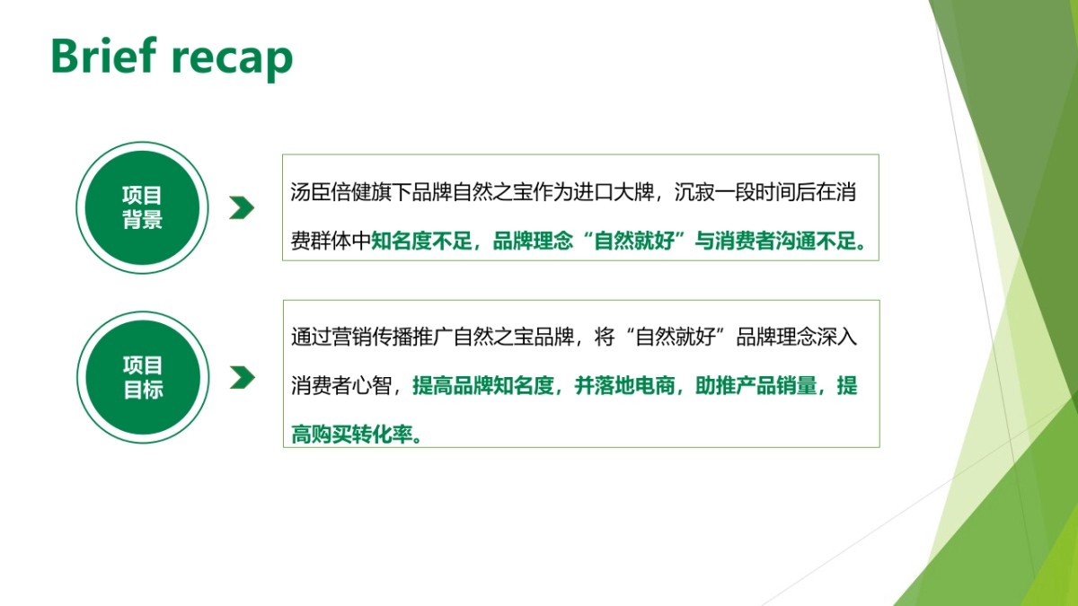 自然之宝（保健品）线上推广方案_第3页