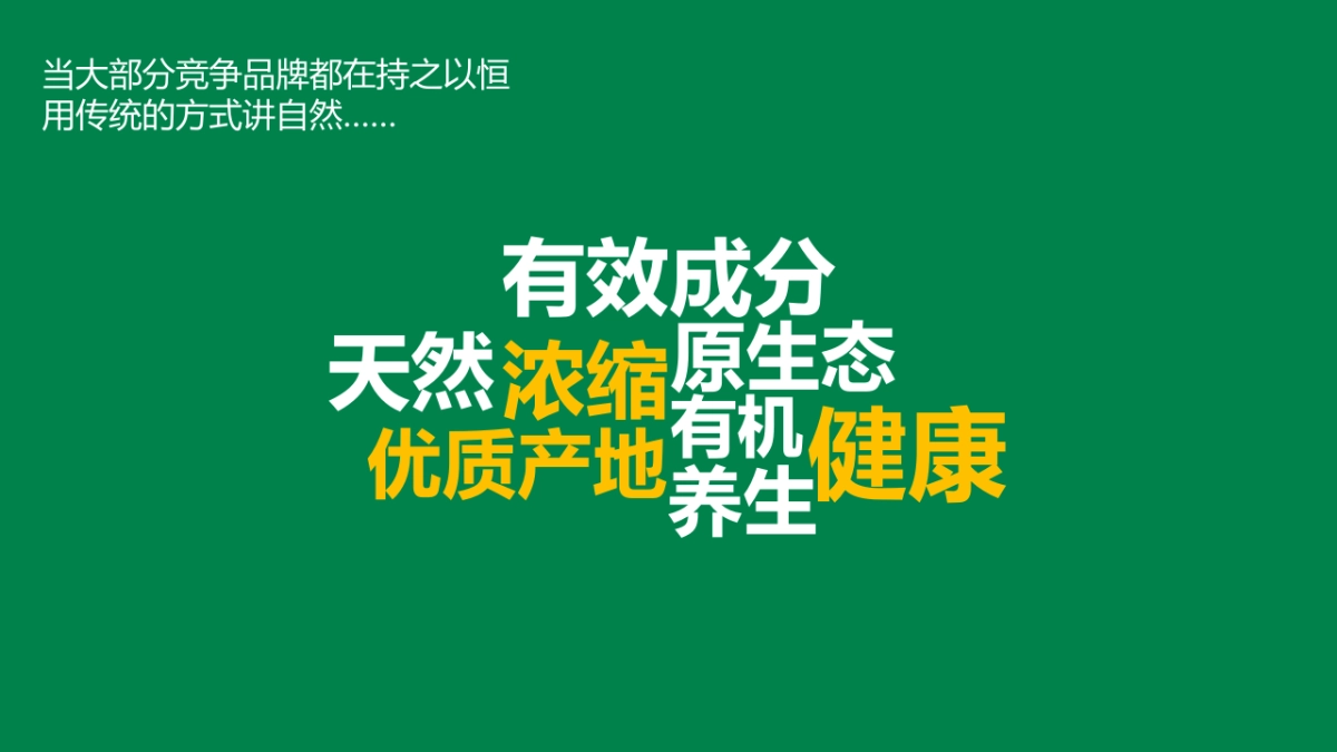 自然之宝（保健品）线上推广方案_第8页