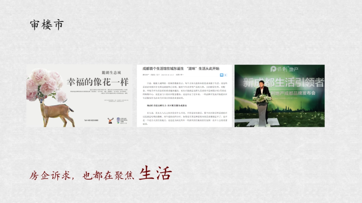 绿城成都项目推广策略_第9页