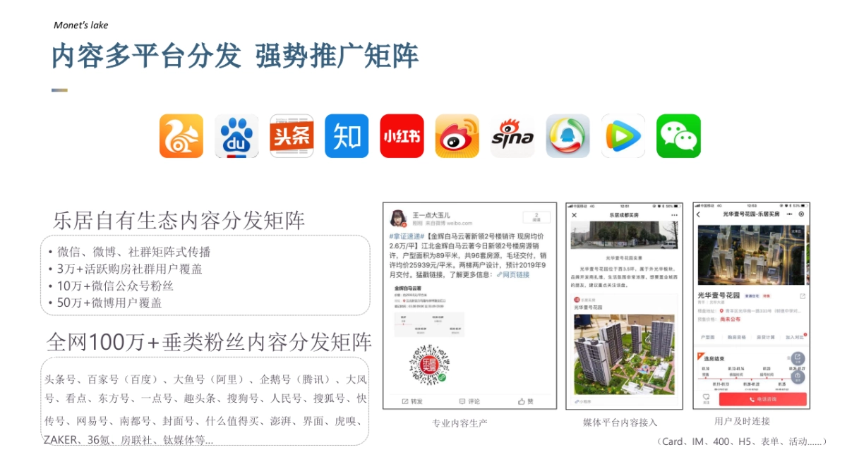 莫奈的湖线上营销推广方案_第10页