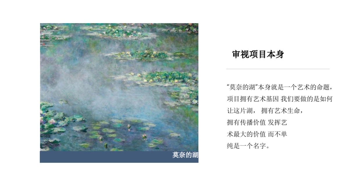 莫奈的湖线上营销推广方案_第3页