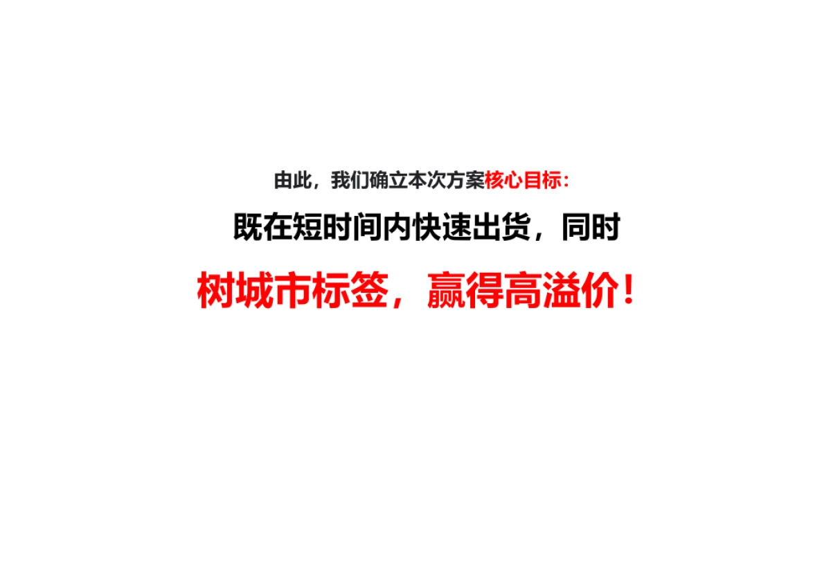 南京金茂悦推广案_第4页