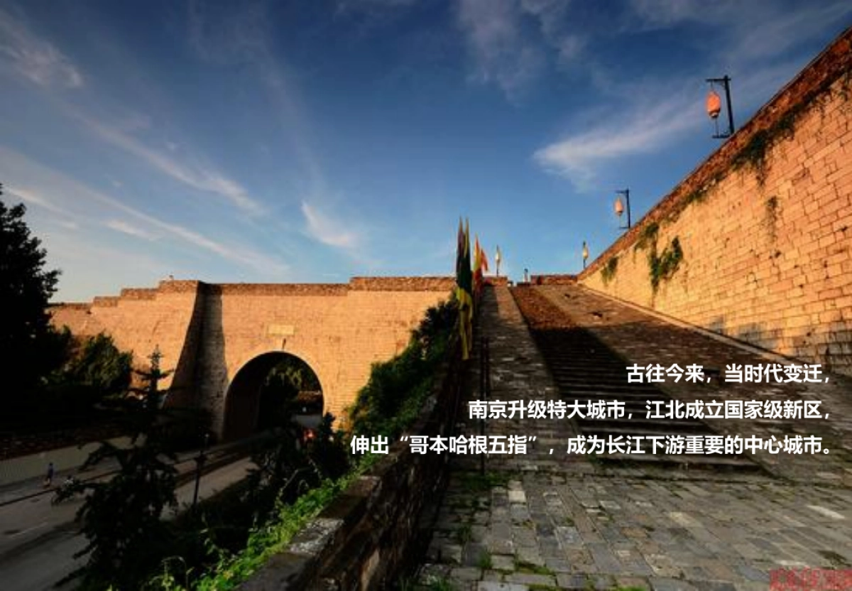 南京金茂悦推广案_第9页