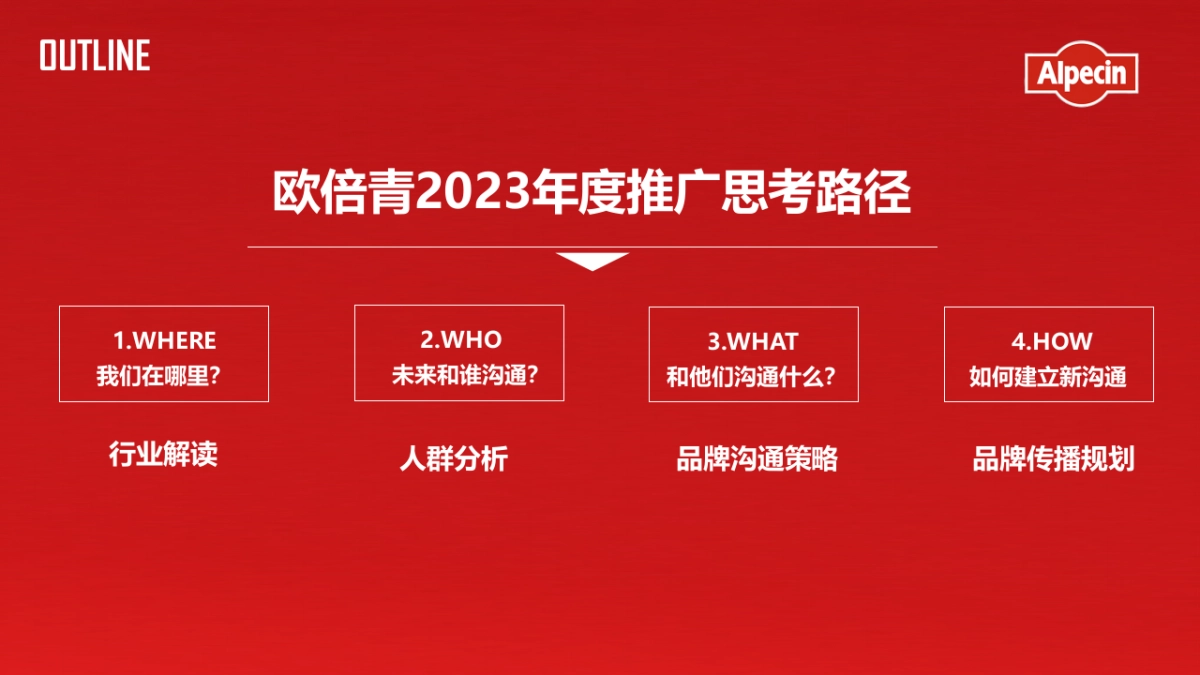 欧倍青防脱洗护年度推广策划方案_第6页