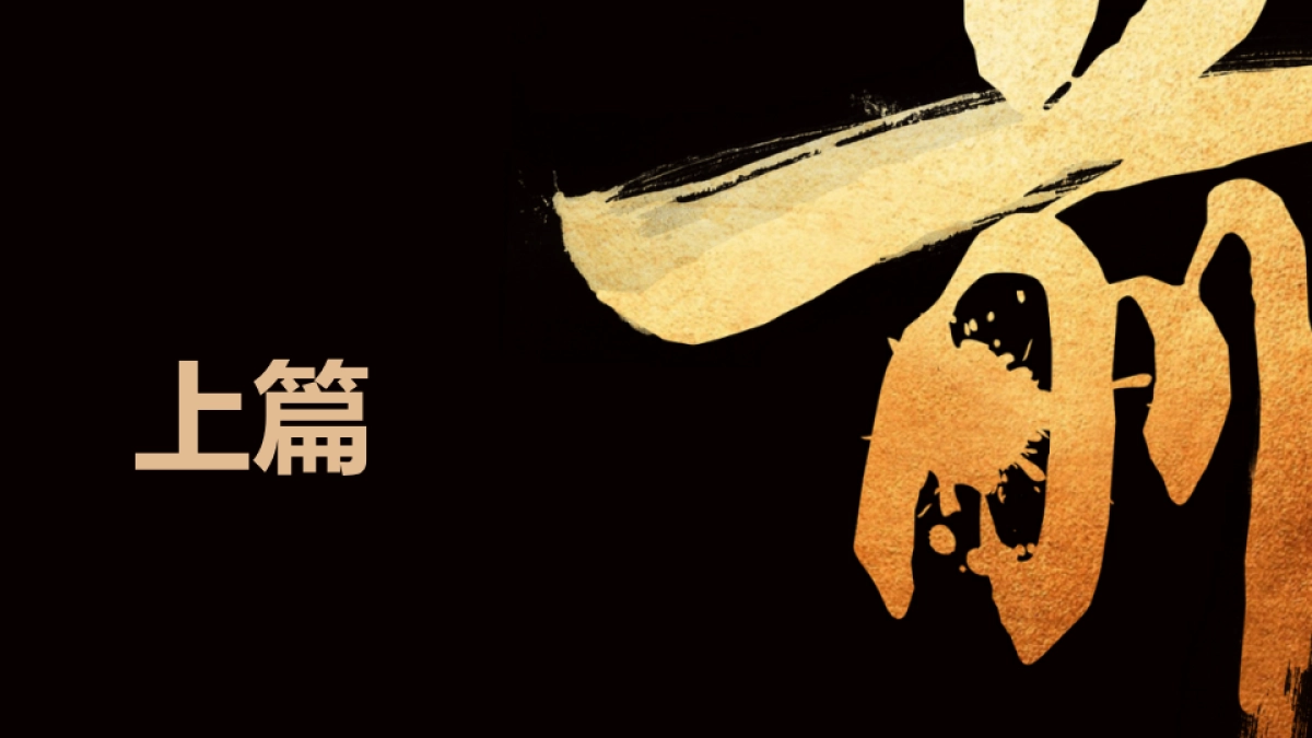 上海和声-郑州双地王万科世玠营销推广案_第2页