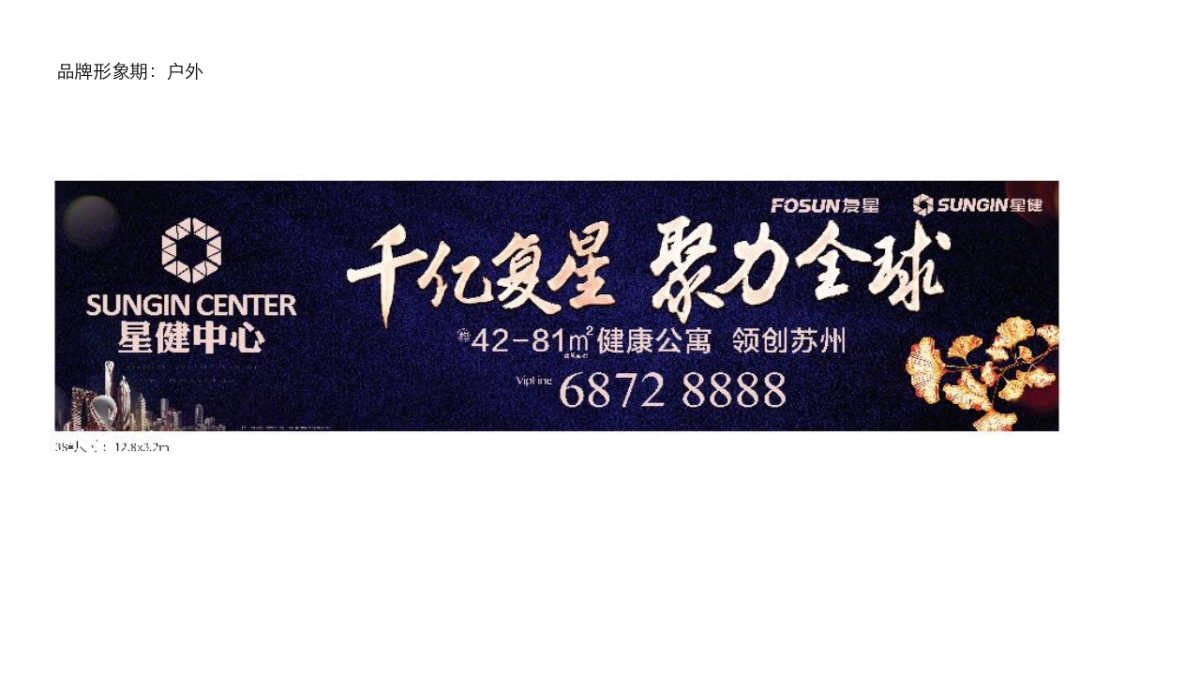 上海某一线BoJ-星健中心推广总结_第8页