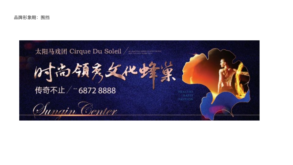 上海某一线BoJ-星健中心推广总结_第9页