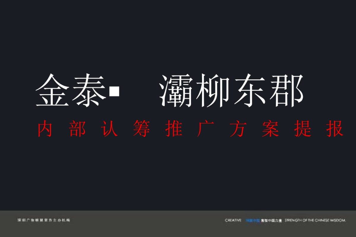 深盟中国-金泰灞柳东郡项目推广策略提报_第2页