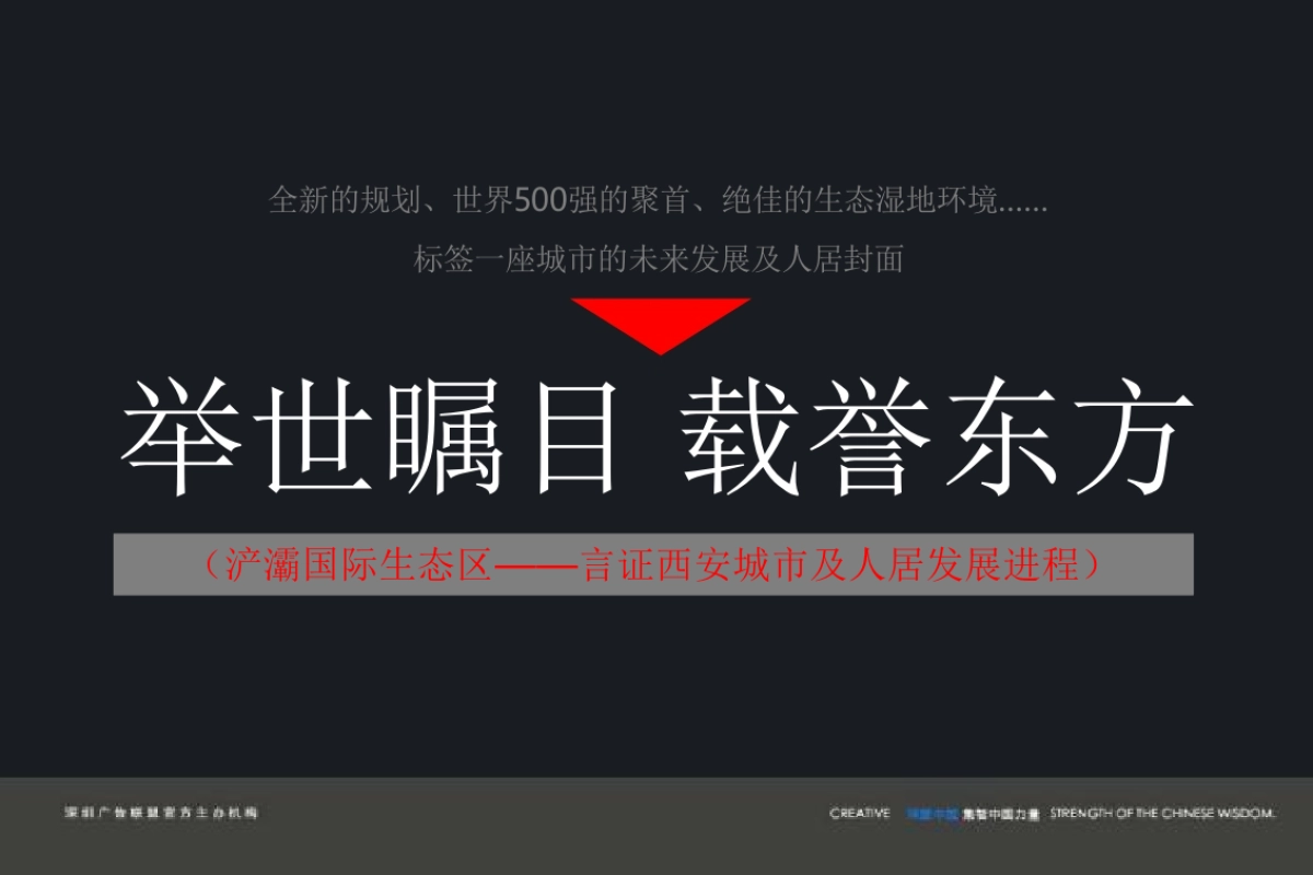 深盟中国-金泰灞柳东郡项目推广策略提报_第5页