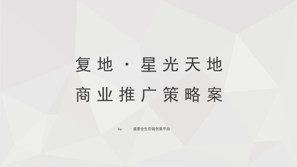 深圳道里-复地星光天地推广策略案_第2页