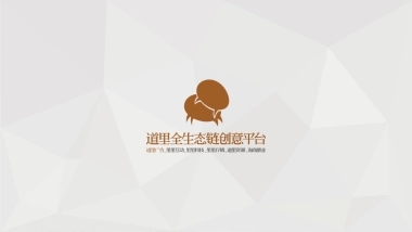 深圳道里-复地星光天地推广策略案