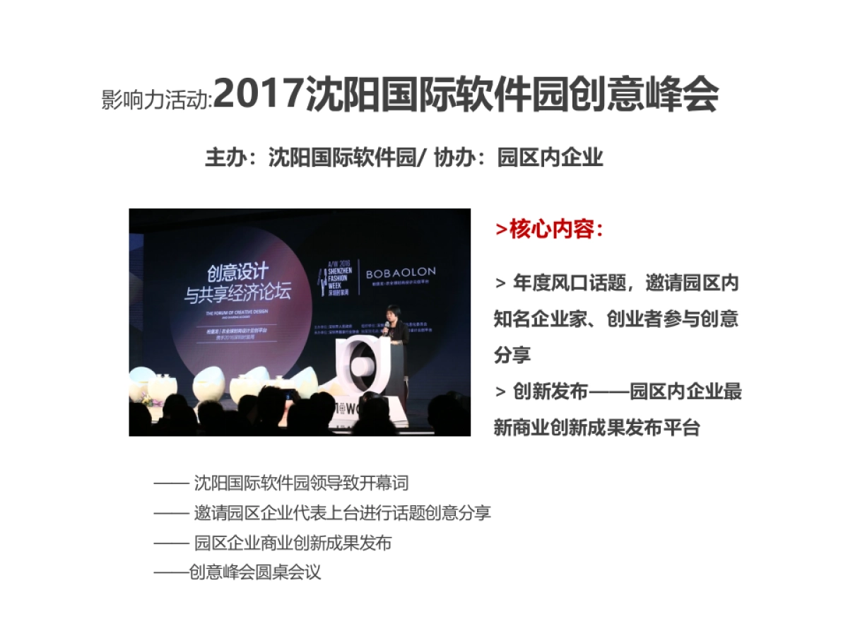 沈阳国际软件园年度推广全案_第10页