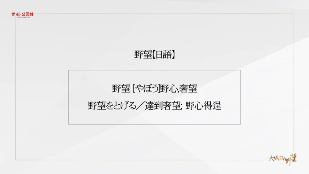 首创公园城及派尚PRO推广方案_第2页