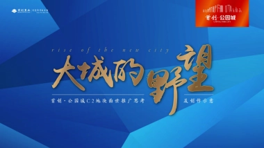 首创公园城及派尚PRO推广方案