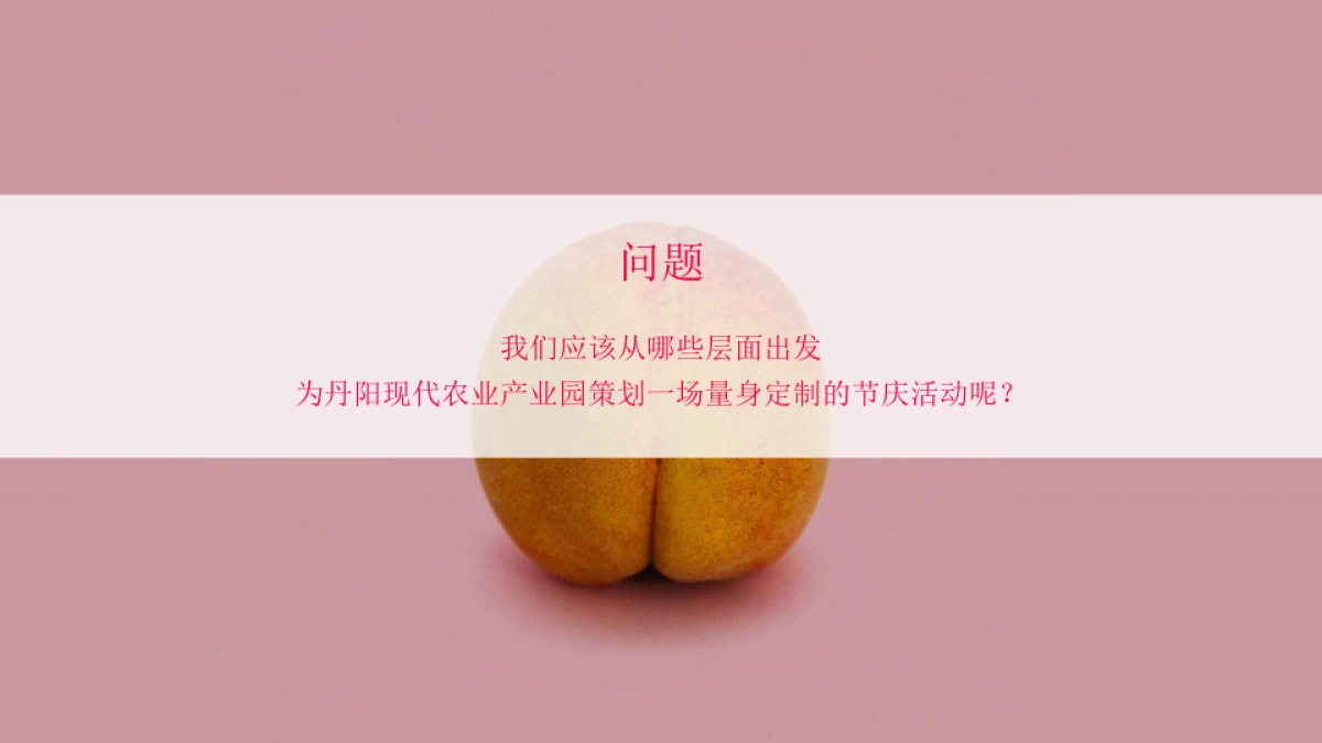 司徒镇采桃节策划推广方案_第10页