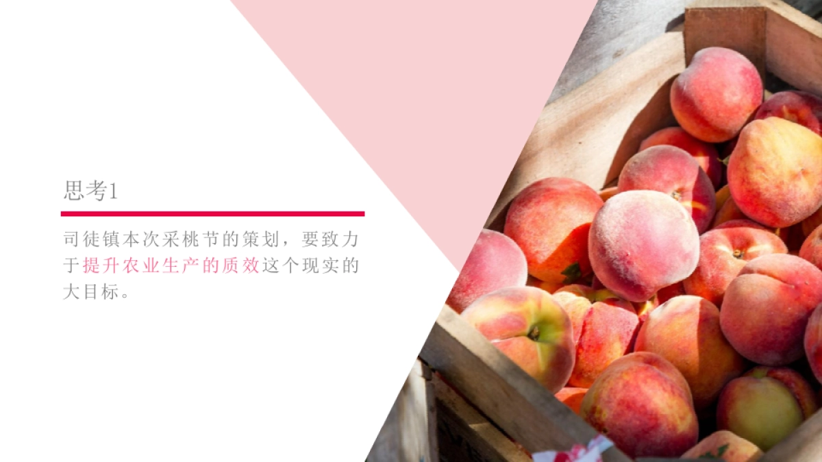 司徒镇采桃节策划推广方案_第5页