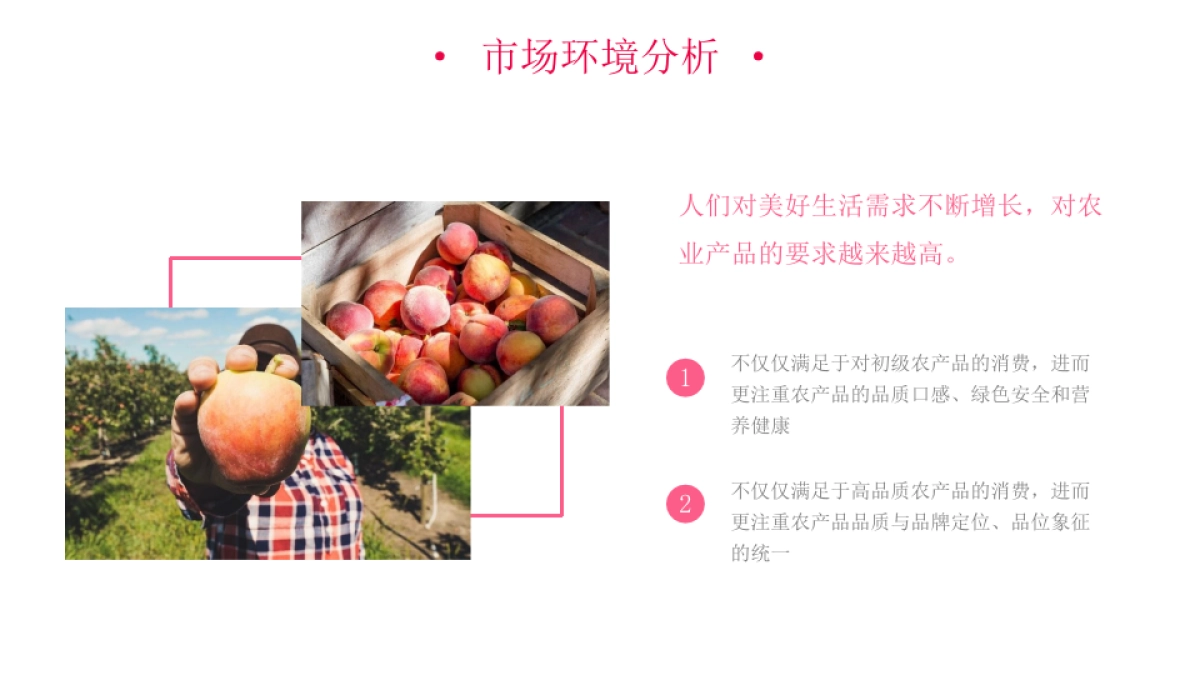 司徒镇采桃节策划推广方案_第6页