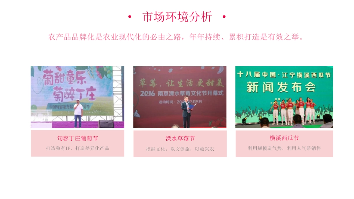 司徒镇采桃节策划推广方案_第7页